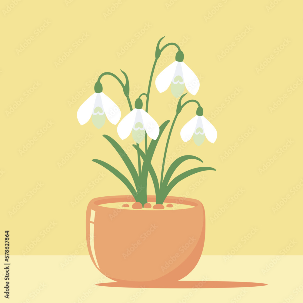 Snowdrop flower in pot on yellow background. Still life illustration. Flat design.
