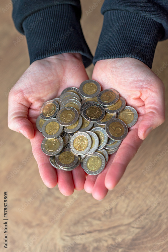 5 zloty coins on the hands. Money on hands.