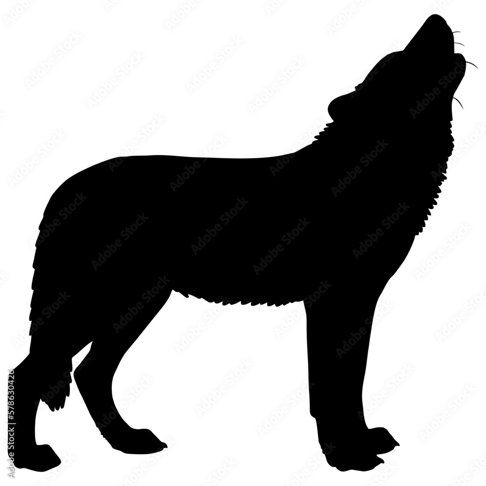 silhouette wolf
