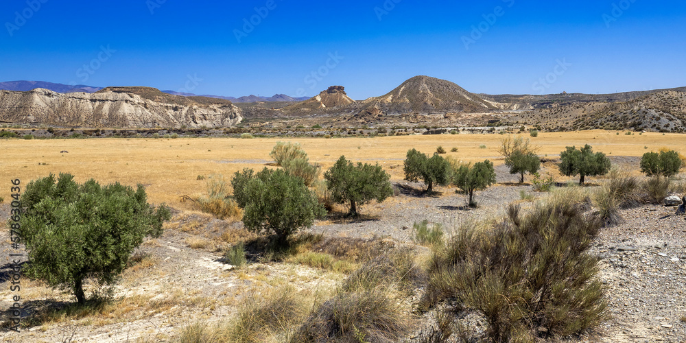 Tabernas Desert Nature Reserve, Special Protection Area, Hot Desert Climate Region, Tabernas, Almería, Andalucía, Spain, Europe