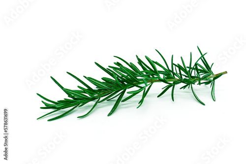 Sprig of fresh rosemary isolated on png background.