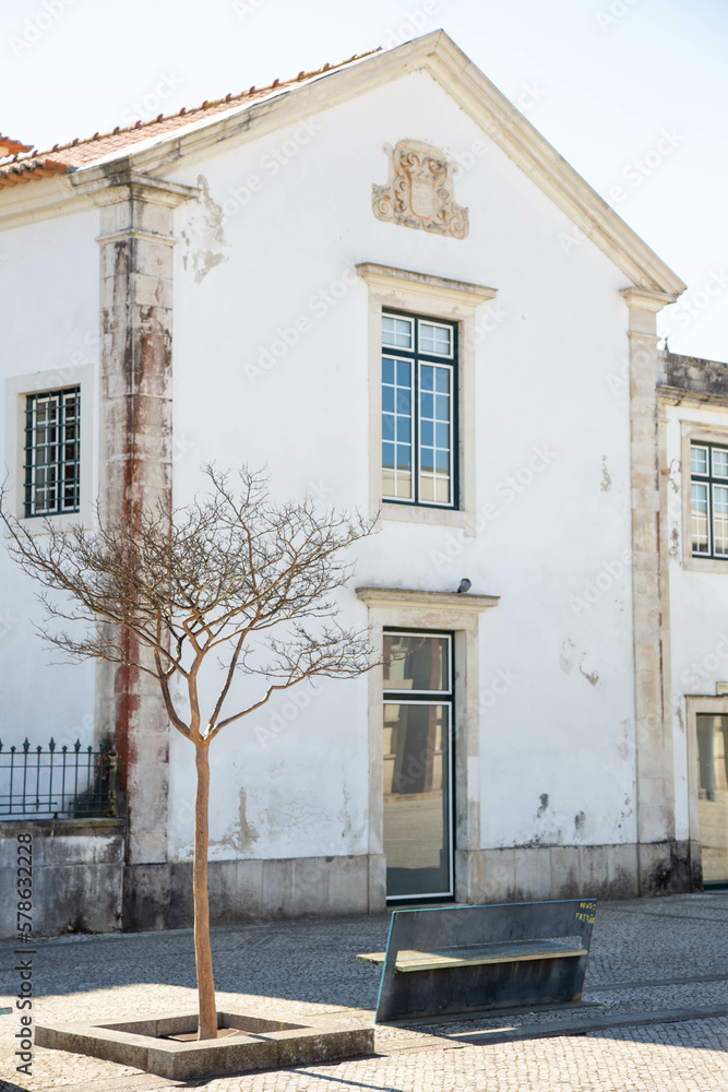 Photos of Aveiro - The small town in Portugal known by colored houses
