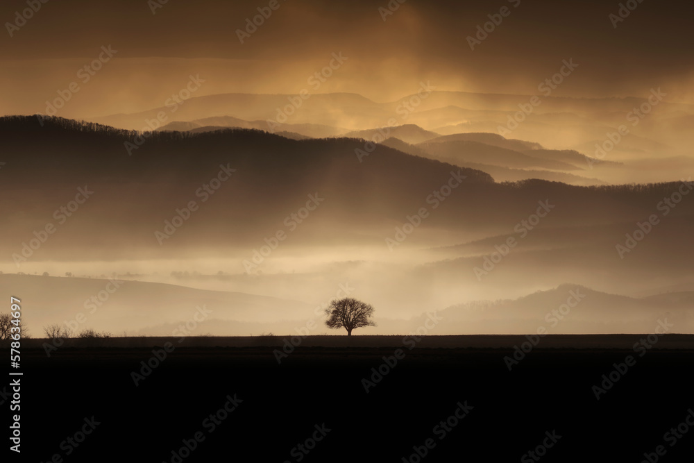 tree on hill and storm clouds over mountains at sunset