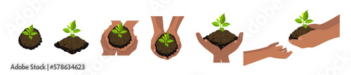 Black skin hands holding small tree for planting. Green world, earth day, save our planet, eco life concept. Vector illustrartion