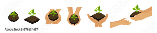 Light brown skin hands holding small tree for planting. Green world, earth day, save our planet, eco life concept. Vector illustrartion