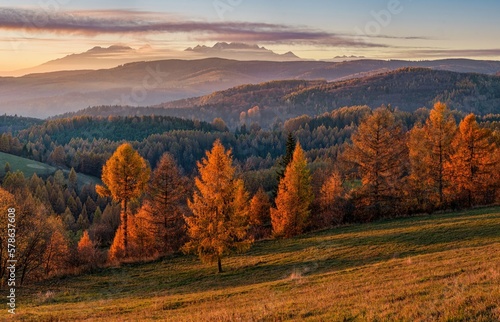 View of the High Tatras at sunset with an orange-colored spruce forest during the autumn sunset. High tatras ( Vysoke Tatry ), Levocske vrchy, Slovakia. Beautiful autumn landscape.