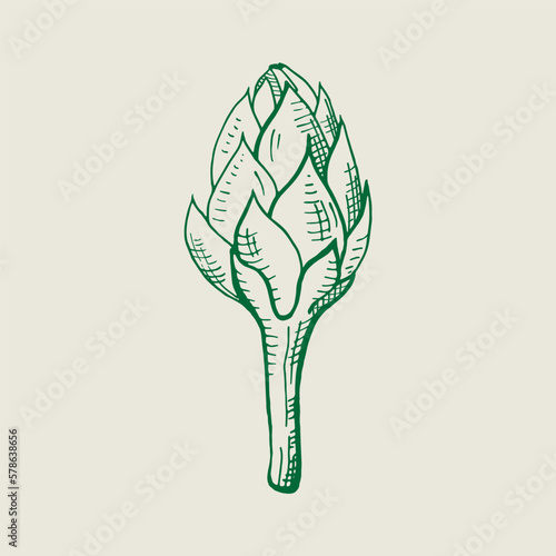 Artichoke illustration. Edible flower bud, healthy vegetable. Hand drawn fresh whole artichoke