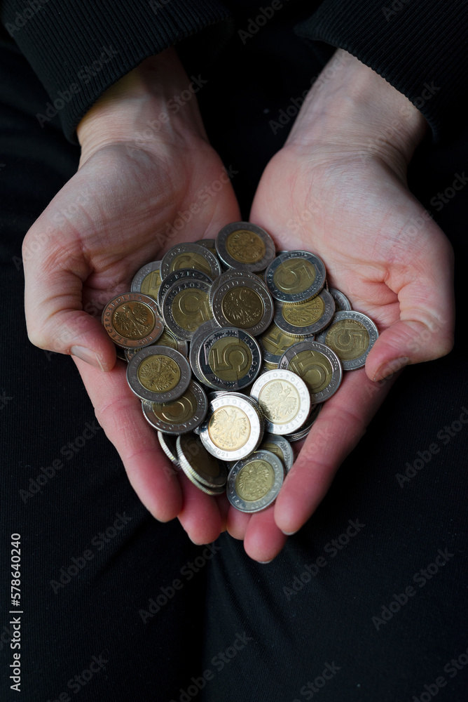 5 zloty coins on the hands. Money on hands.