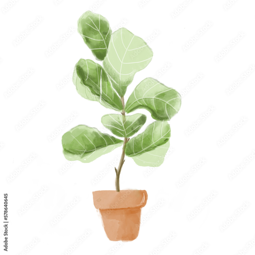plant in pot plant in pot