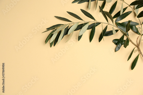 Twig with fresh green olive leaves on beige background, top view. Space for text