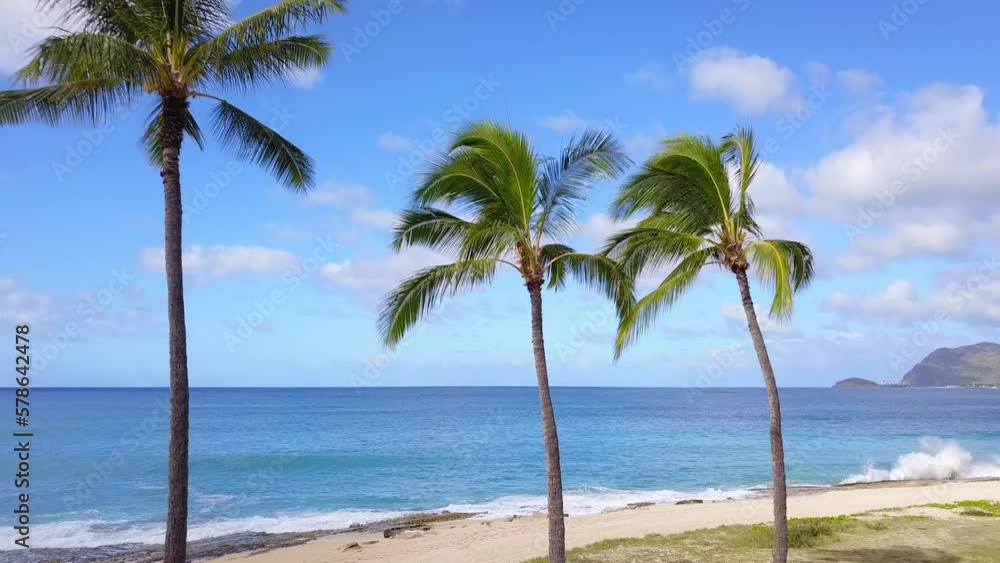 Tropical palm trees and crashing waves on beach rocks reveal beach park in Hawaii Tropical palm trees and crashing waves on beach rocks reveal beach park in Hawaii