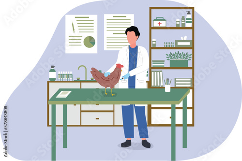 Chicken is being used to test a vaccine for bird flu and pushing animal vaccine to hen and chicken for vaccination for animal disease and bird flu injection. Chicken disease medicine injecting vaccine