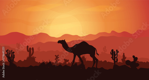 Landscape sunset sky desert cactus mountain camel nature silhouettes. Vector illustration.