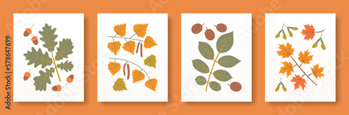 Vector illustration abstract still life of tree branches and their fruits in pastel colors. Set of illustrations of tree branches oak birch walnut maple.
