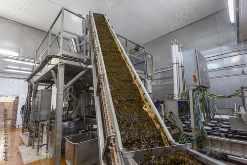 Closeup view of conveyor machine at seaweed factory.