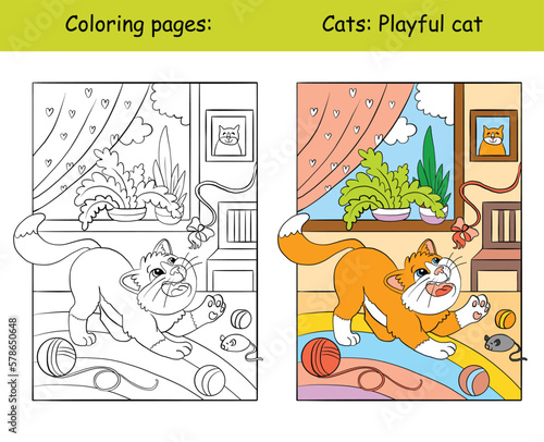 Coloring and color ginger cat plays with a ball of thread vector
