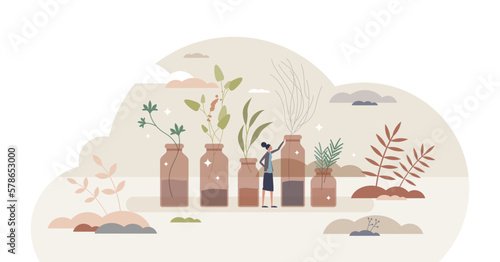 Essential oils for aromatherapy and organic medicine tiny person concept, transparent background.Herbal nature treatment for wellness and health illustration.