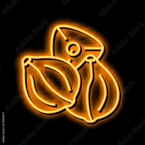 buckwheat seed neon glow icon illustration