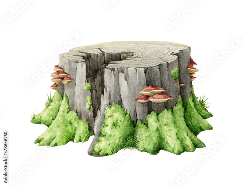 Old tree stump with green moss. Watercolor illustration. Tree cut trunk with green moss and grass and mushrooms on it. Realistic wood stump forest, park landscape element.
