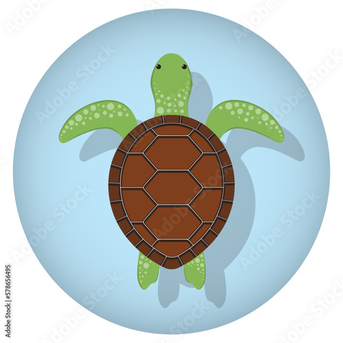 Cute cartoon swimming turtle. Top view, vector illustration