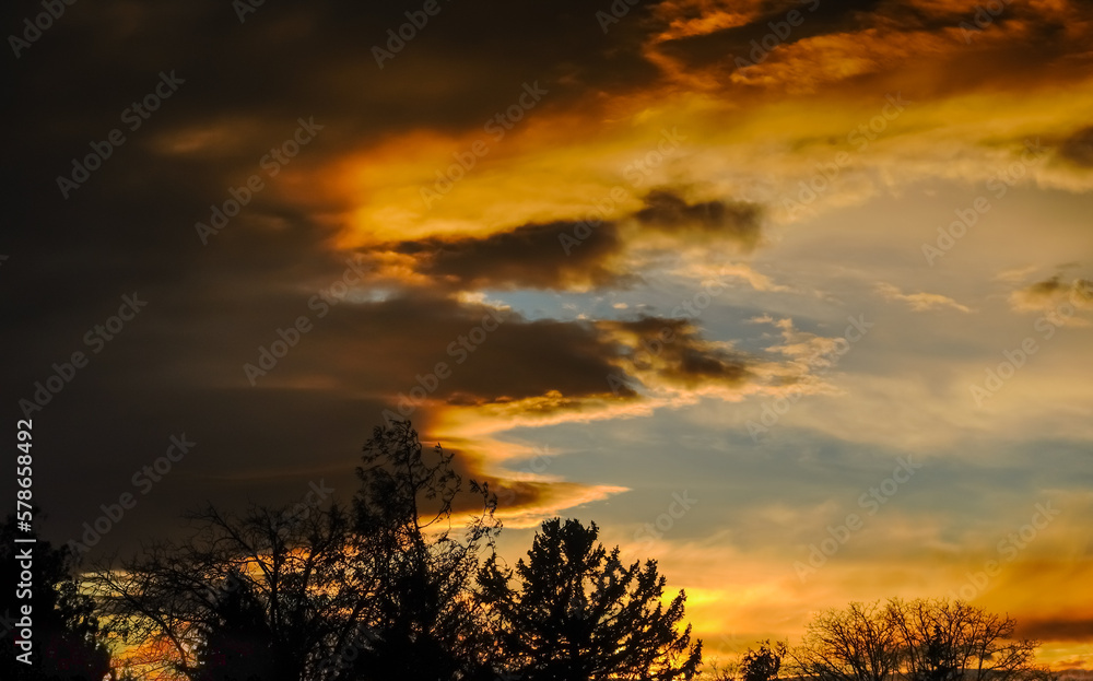dark trees and colorful clouds at sunset in the winter dark trees and colorful clouds at sunset in the winter