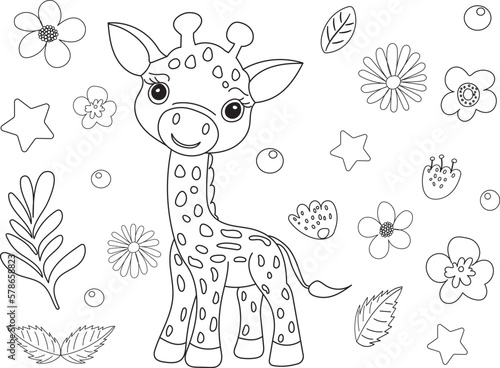 giraffe coloring book  sketch isolated  vector