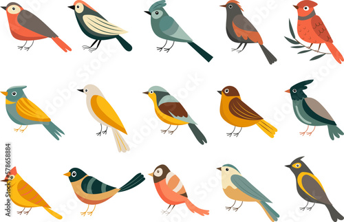 birds of different breeds collection in flat style isolated vector