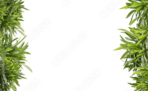 Green leaf frame on transparent background, center space, 3d render illustration.
