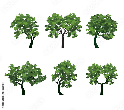 Set green trees on white background. Vector Isolated.