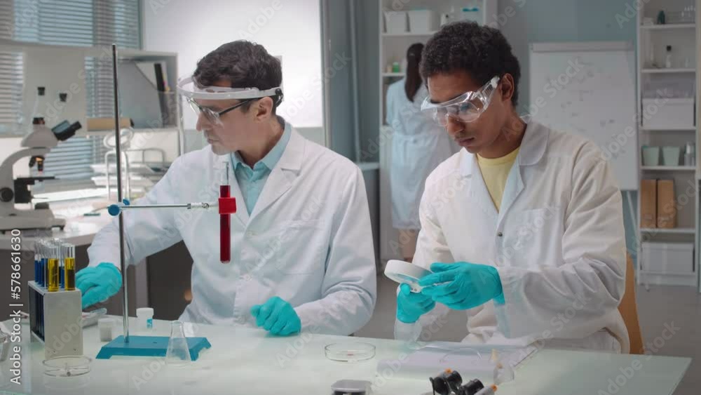 Waist up shot of multiethnic scientific team examining microbiological cultures in petri dish while doing research in modern laboratory Waist up shot of multiethnic scientific team examining microbiological cultures in petri dish while doing research in modern laboratory