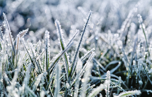 Winter background, morning frost in the grass © Alekss