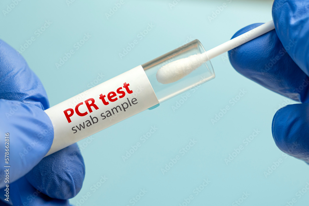 Covid test laboratory procedure. Antigen rapid, antibody, PCR, PCR-LAMP test in laboratory conditions against a blue background Covid test laboratory procedure. Antigen rapid, antibody, PCR, PCR-LAMP test in laboratory conditions against a blue background