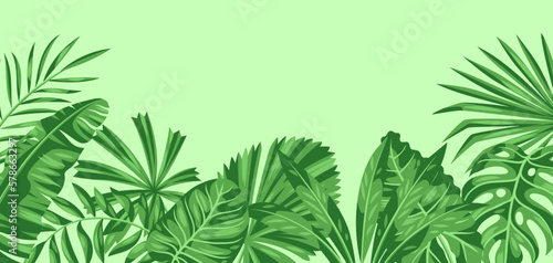 Background with stylized palm leaves. Image of tropical foliage and plants.