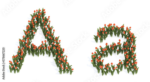 Concept or conceptual set of beautiful blooming tulip bouquets forming the font A. 3d illustration metaphor for education, design and decoration, romance and love, nature, spring or summer.