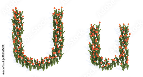 Concept or conceptual set of beautiful blooming tulip bouquets forming the font U. 3d illustration metaphor for education, design and decoration, romance and love, nature, spring or summer.