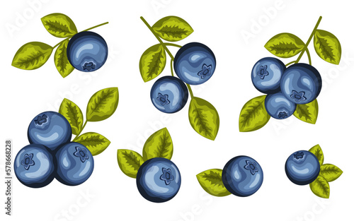 Set of blueberries. Cartoon style colorful hand drawn vector illustration photo