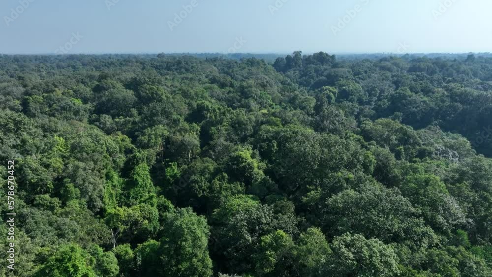 Aerial drone view of green forest, drone camera moves over Lawachara National park in Bangladesh. Aerial drone view of green forest, drone camera moves over Lawachara National park in Bangladesh.