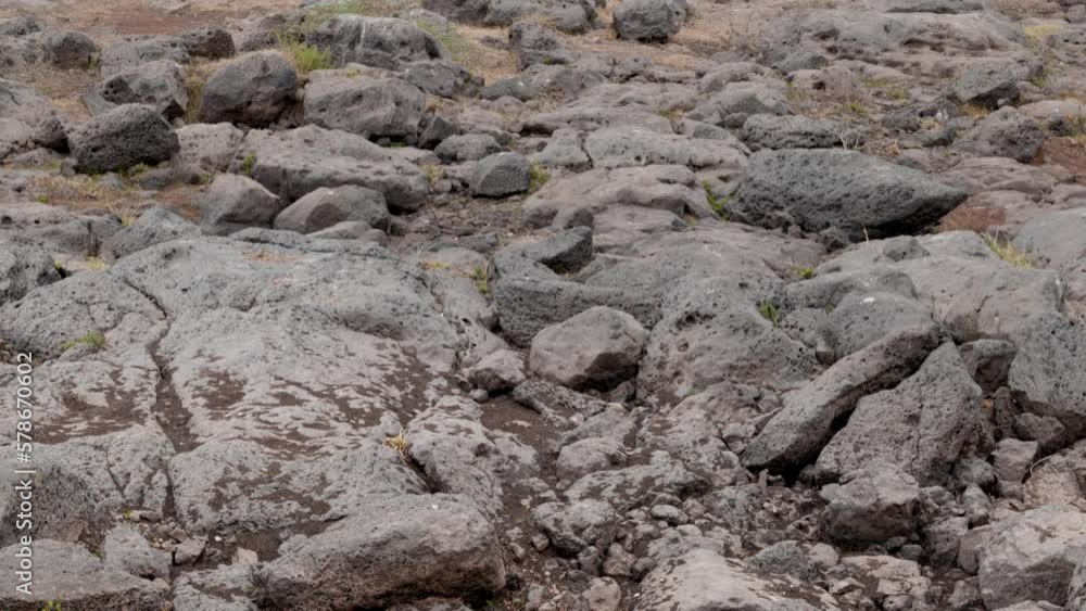 tilting shot of the arid parched ground where there was once water in the river before global warming tilting shot of the arid parched ground where there was once water in the river before global warming