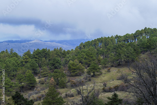 Sierra de las Nieves, Parque Natural de Andalucía , España.
