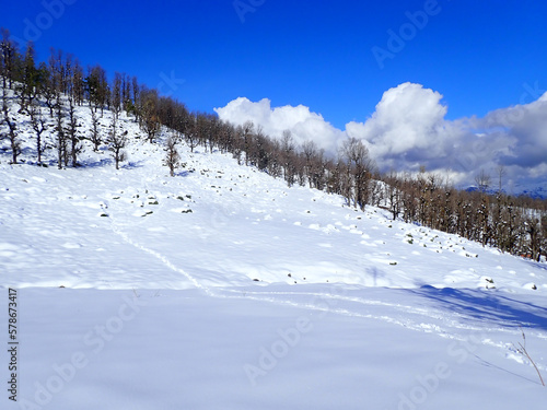 Winter and cold Algeria in North Africa, Winter snow mountain cabin panorama. Winter mountain snow panorama forest tree. landscape winter mountain snow. Snowy winter mountains, jijel Algeria sun cloud