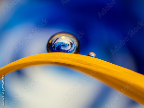 Macro water drop of flower
