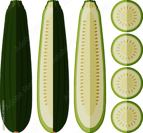 Set of Black Beauty Zucchini or Dark Green Zucchini. Courgette or marrow. Summer squash. Cucubits. Fruit and vegetables. Flat style. Vector illustration isolated on white background.