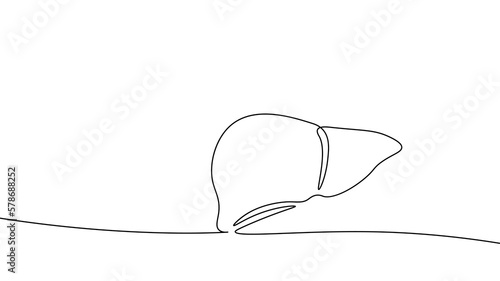 Single continuous line art anatomical human liver silhouette. Healthy medicine concept design world liver health day one sketch outline drawing vector illustration