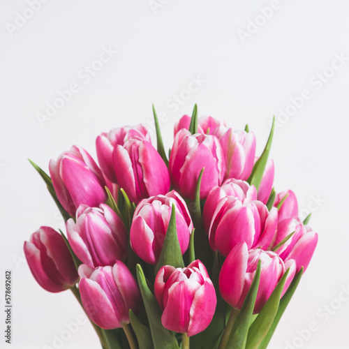 Beautiful bunch of fresh tulips in full bloom against white background. Negative space for text. Spring flowers. © Iryna