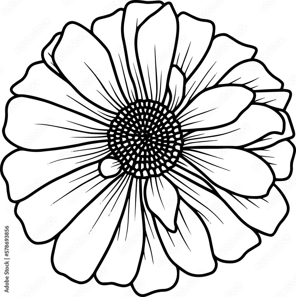 Hand drawing and sketch flower with line art illustration
Hand drawing and sketch flower with line art illustration