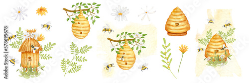 Watercolor set illustration on the topic of beekeeping. Bee Wooden Beehive with Straw Roof in Grass with Flowers. Honey Bees, Branch, Bumblebee and Chamomile Flowers.