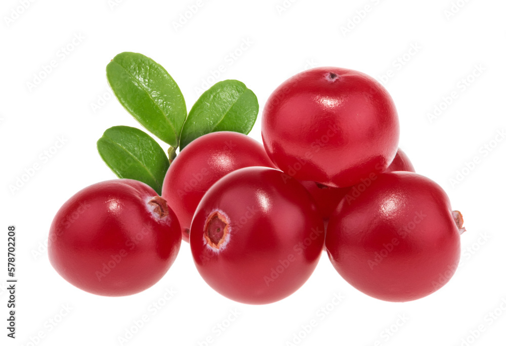 Cranberries isolated on white background with clipping path Cranberries isolated on white background with clipping path