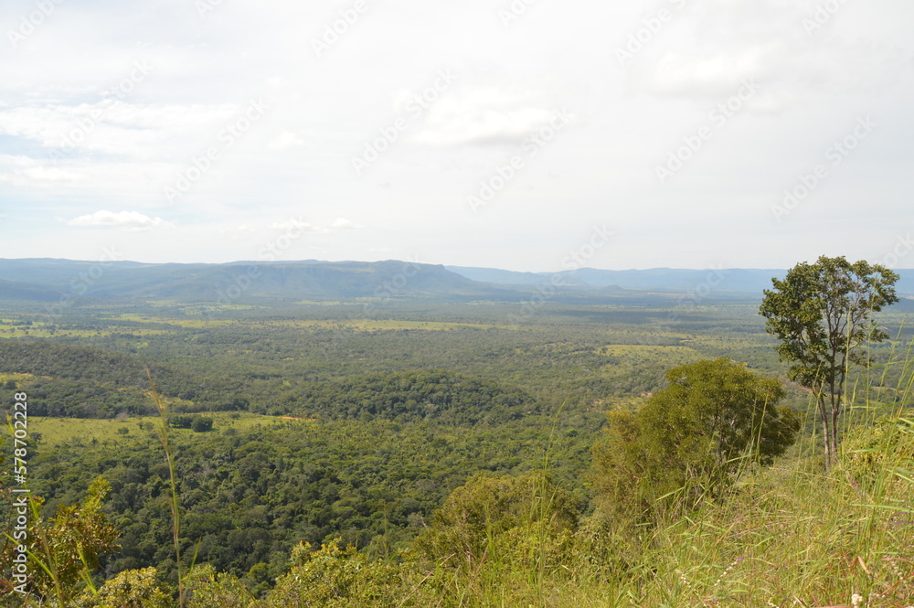 Fototapeta premium landscape in the mountains