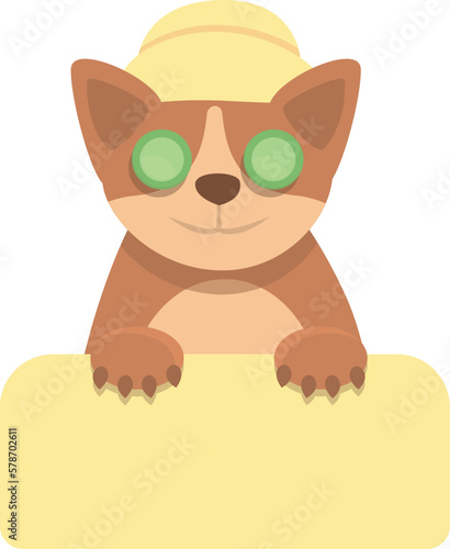 Dog spa icon cartoon vector. Animal bath. Pet care