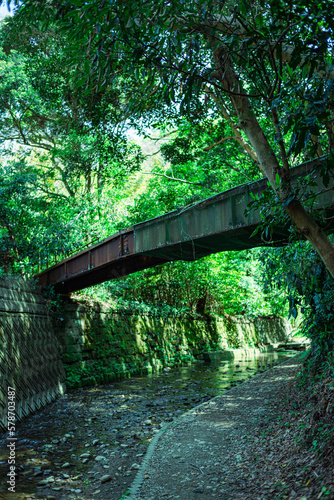 橋と森 © kanako